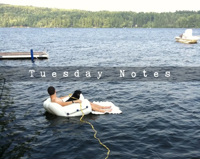 Tuesday Notes. A Reprieve.