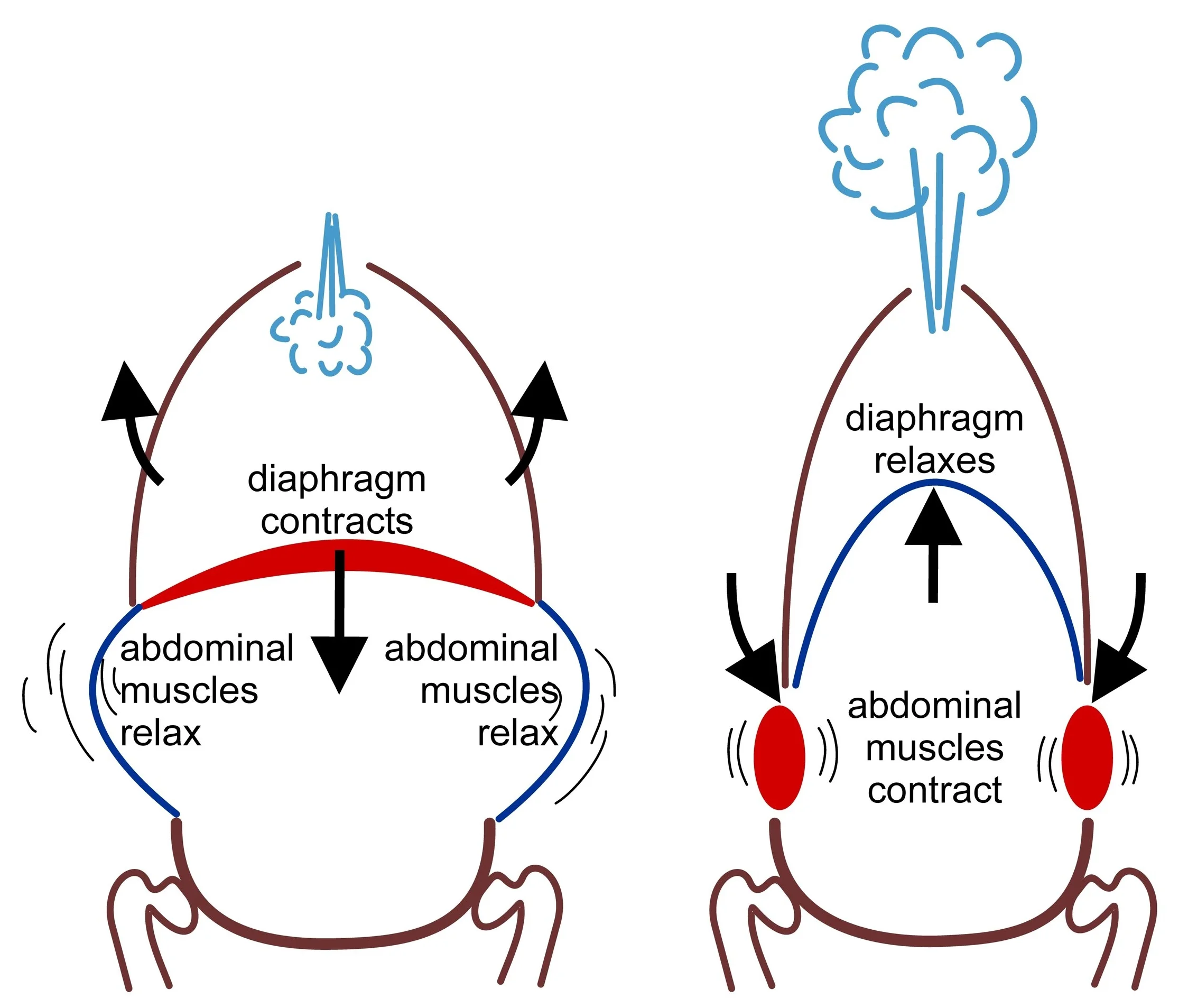 (Not) Just Another Breathing Blog 3 Simple and Effective Strategies