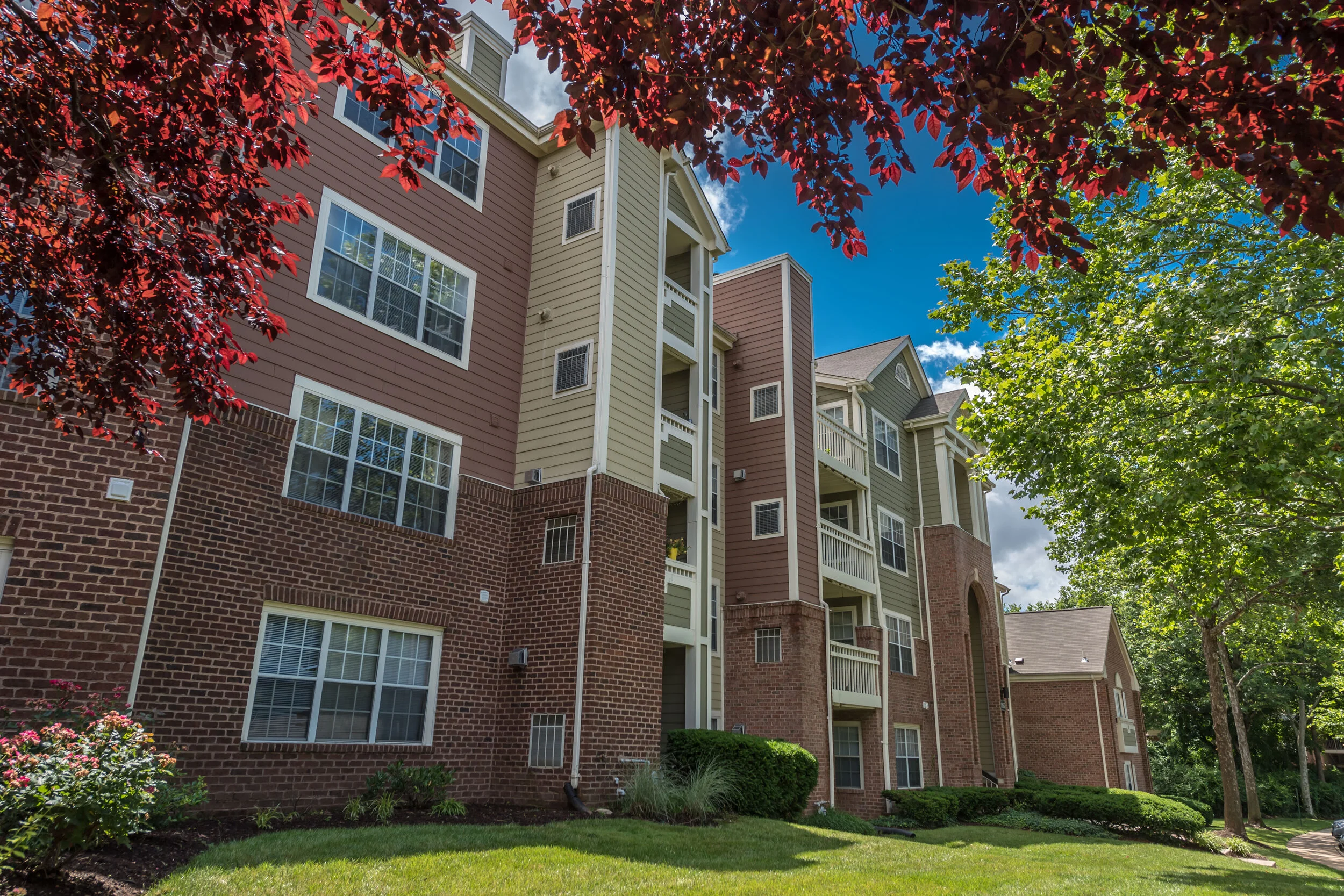 Home — Ellipse at Fairfax Corner