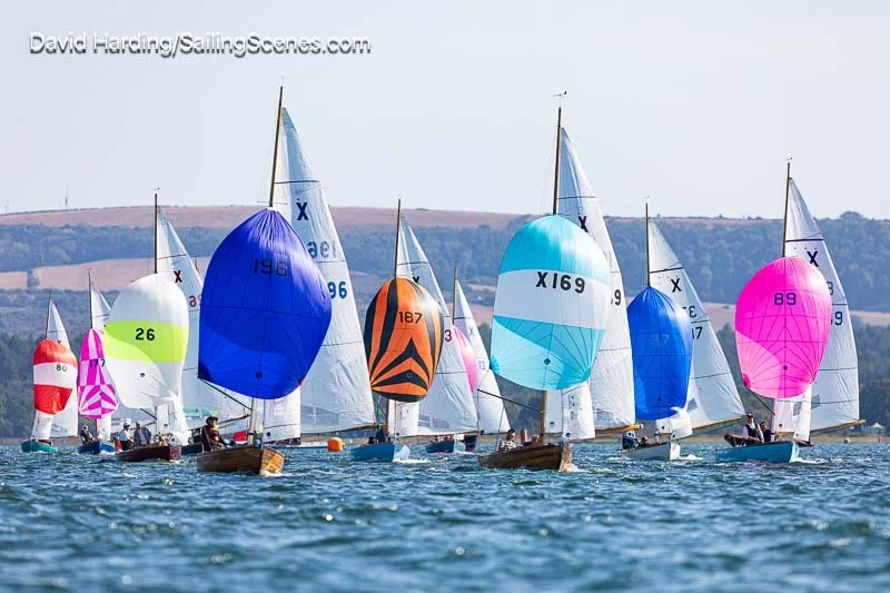 Poole Week 2026, 20260823273.jpg