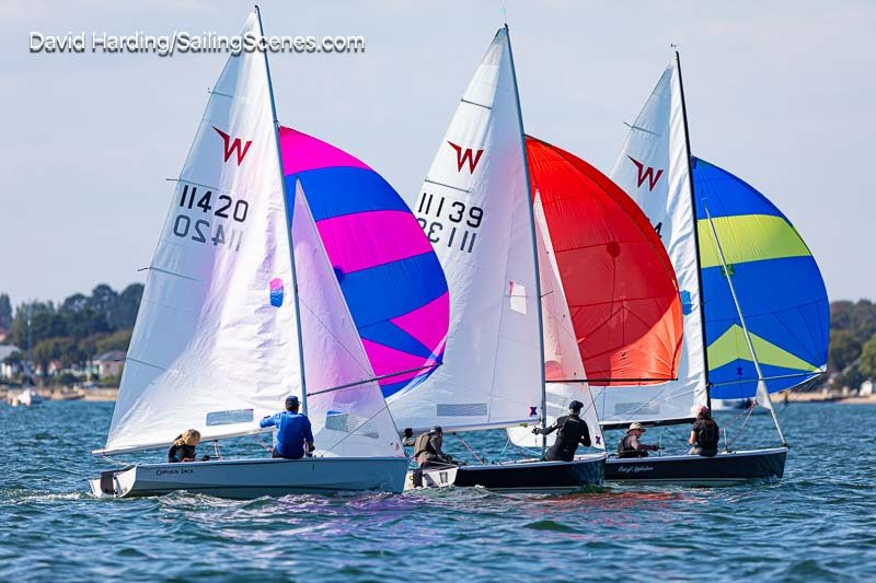 Poole Week 2026, 20260823231.jpg
