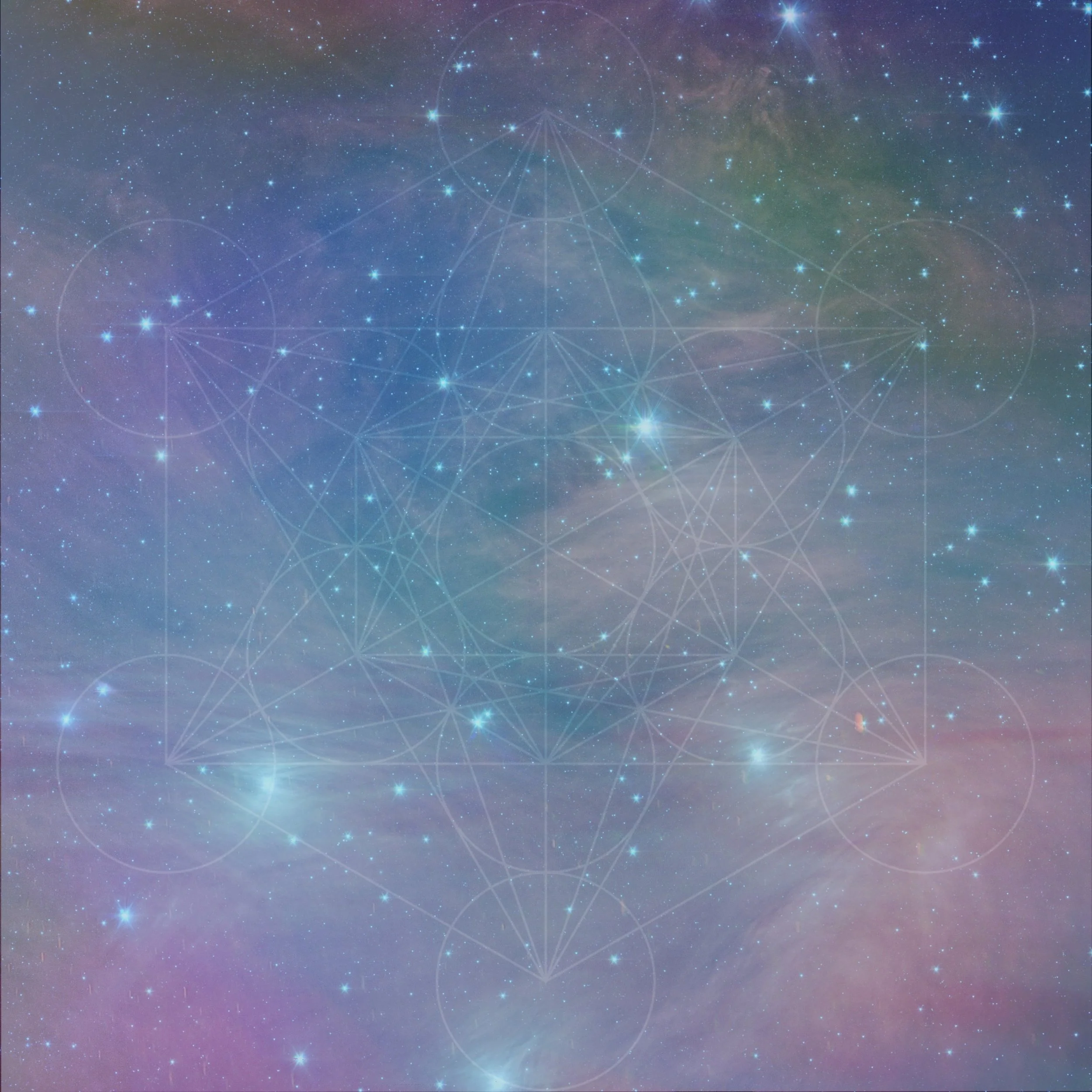 NBS-2019-image7ff.jpg