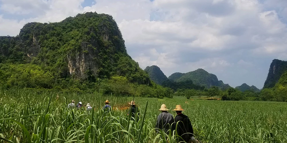 fairwild-guangxi.jpg