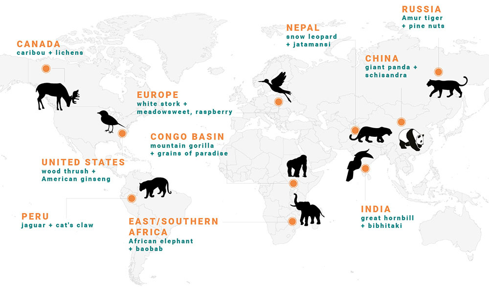 for-plants-map.jpg