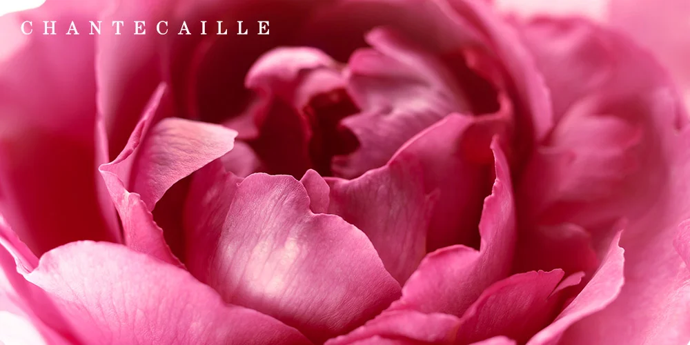 partners-chantecaille.jpg