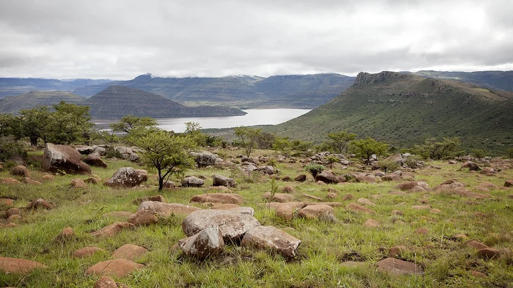 parceval IMG_9494.jpg