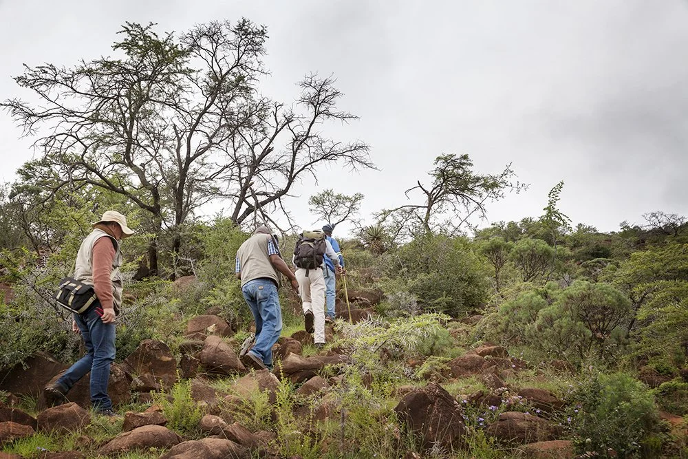 parceval IMG_9416.jpg