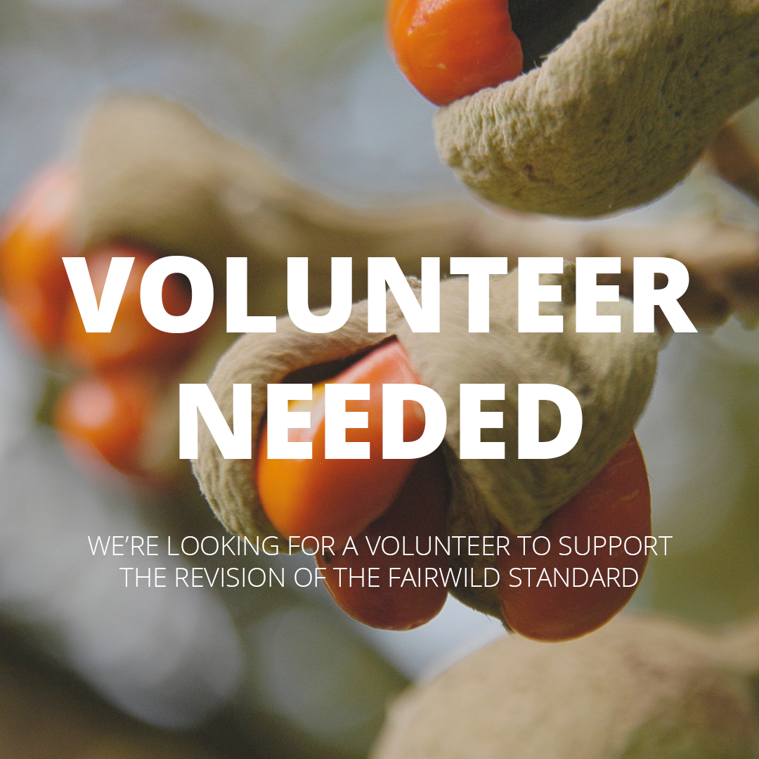 Opportunity alert: Volunteer to support the Standard revision process