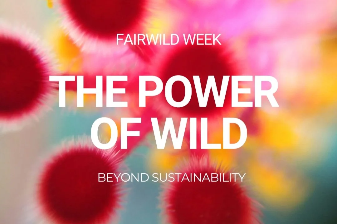 FairWild Week: FairWild businesses celebrate the Power Of Wild 