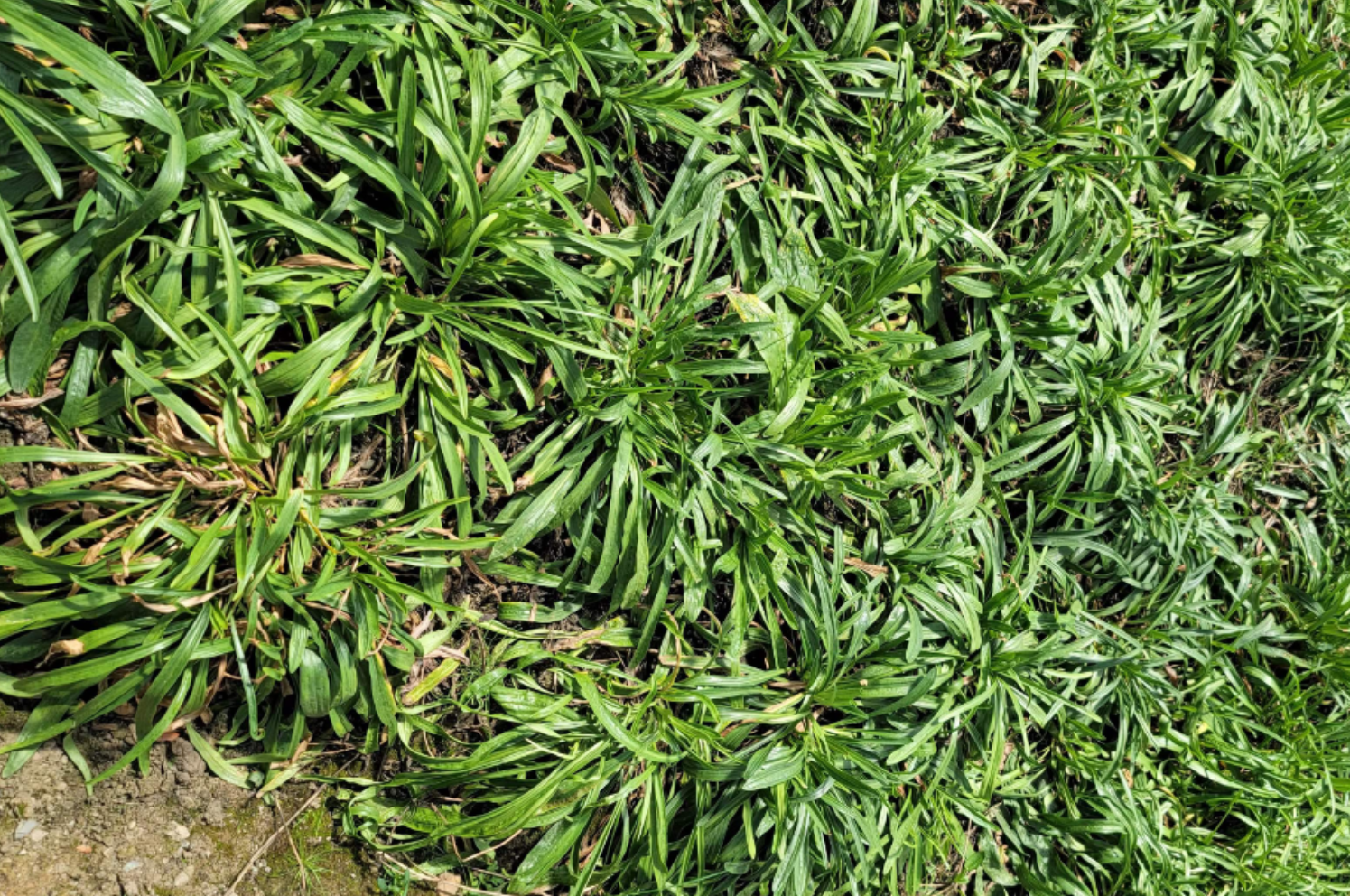 Anhui Highkey Import &amp; Export Co. LTD