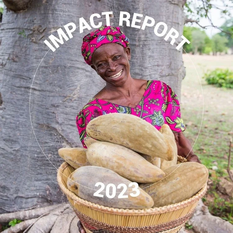 Impact Report 2023