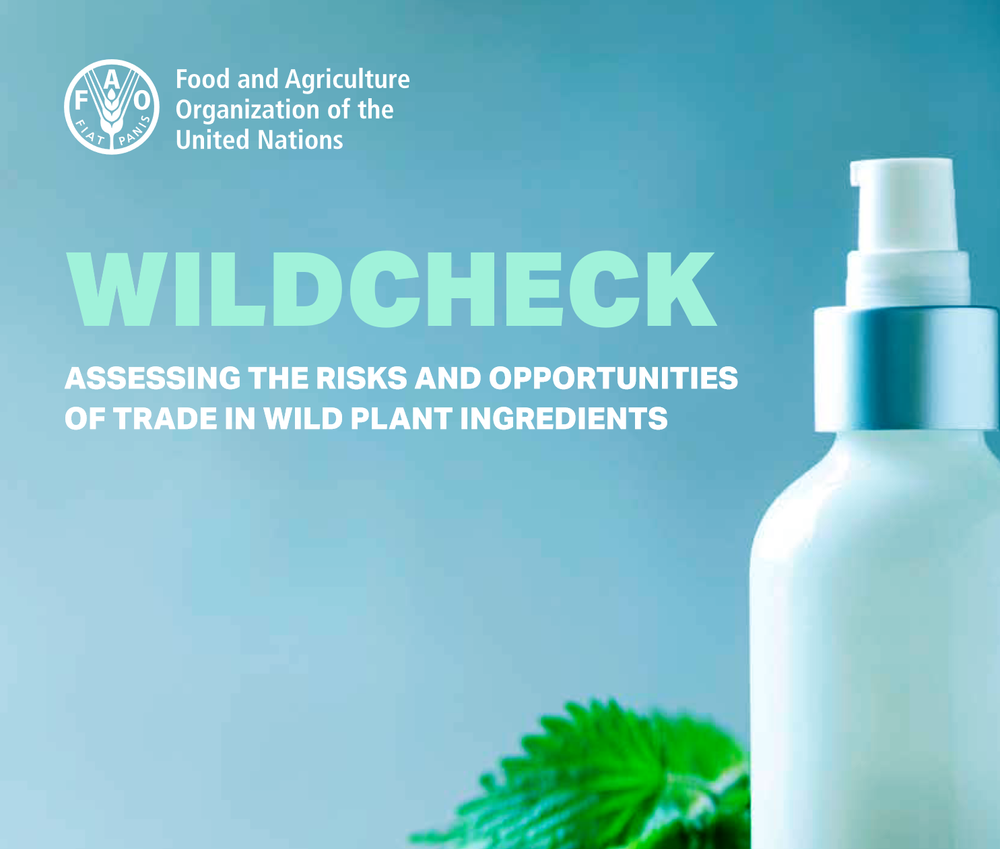 WILDCHECK Report