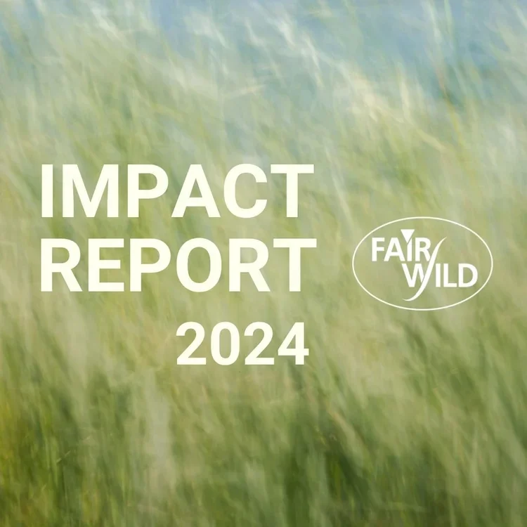 FairWild Impact Report 2024
