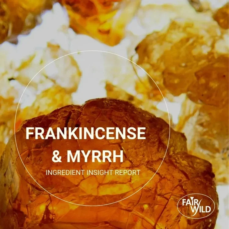 Frankincense and Myrrh: Ingredient Insight Report
