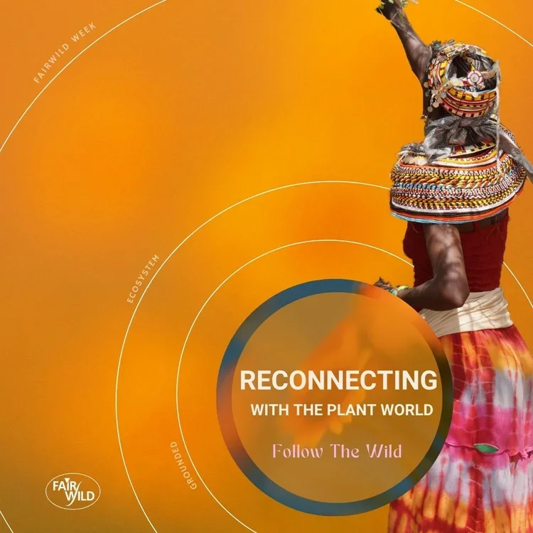 Reconnecting With the Plant World