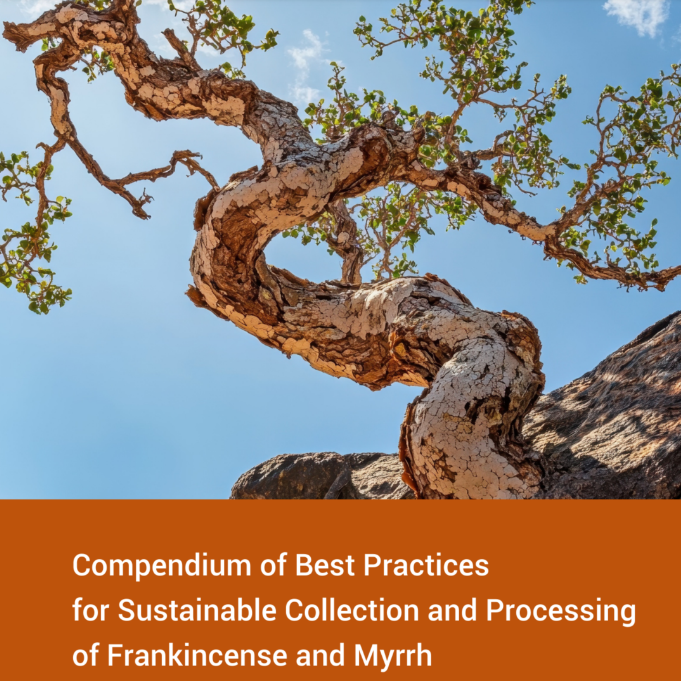 Compendium of Best Practices: Frankincense and Myrrh