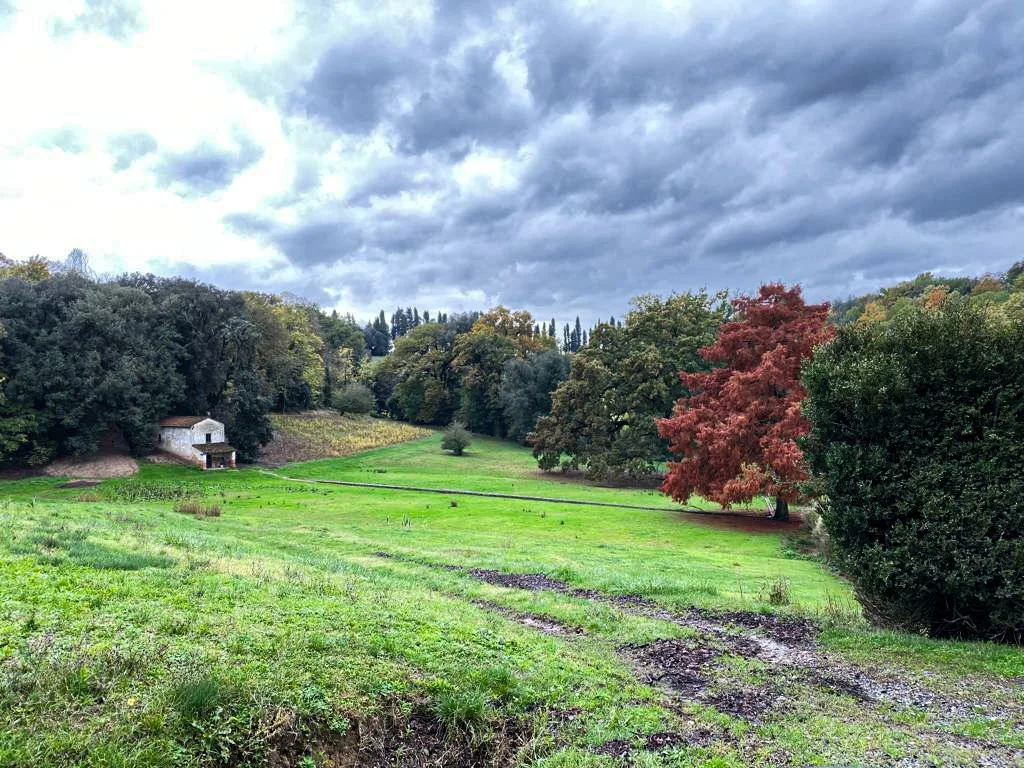 Tenuta di Camugliano