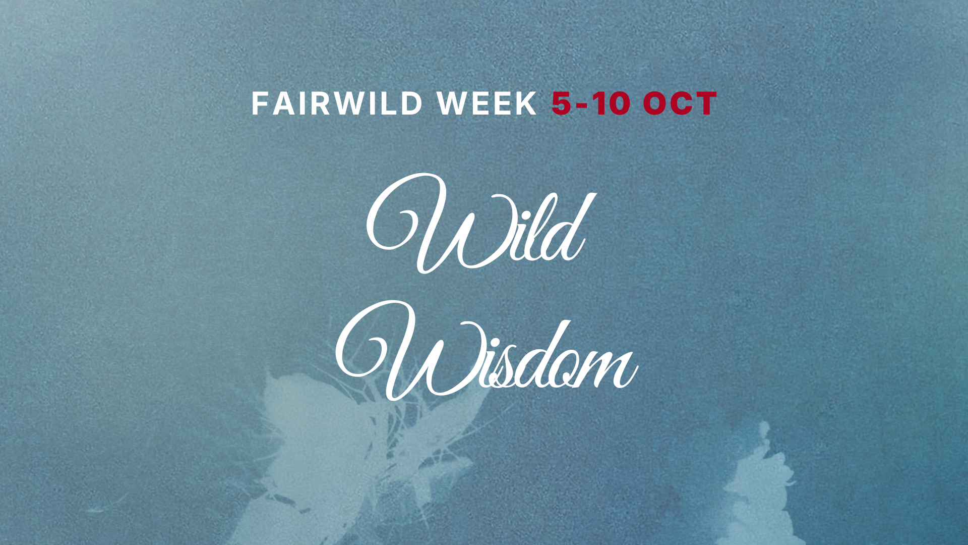 FairWild Week 2026