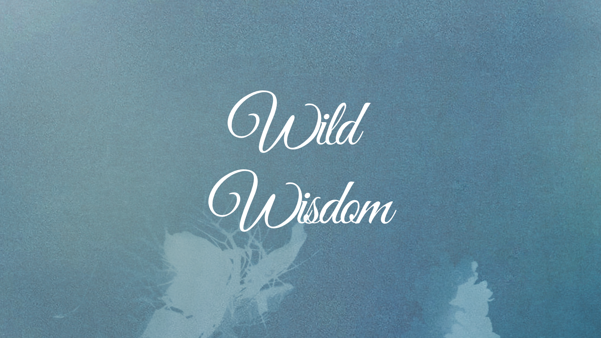 FairWild Week 2026: Why Every Wild Landscape Has Its Own Story