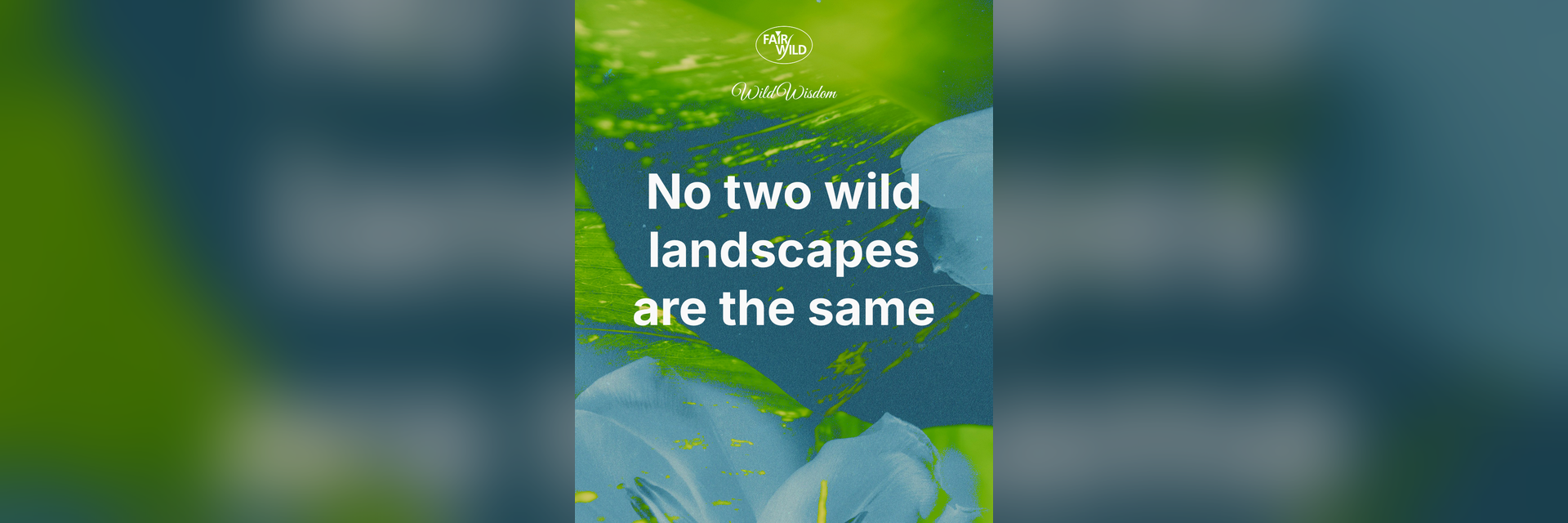 Wild Wisdom, in Our Own Words: The FairWild Week 2026 Declaration 