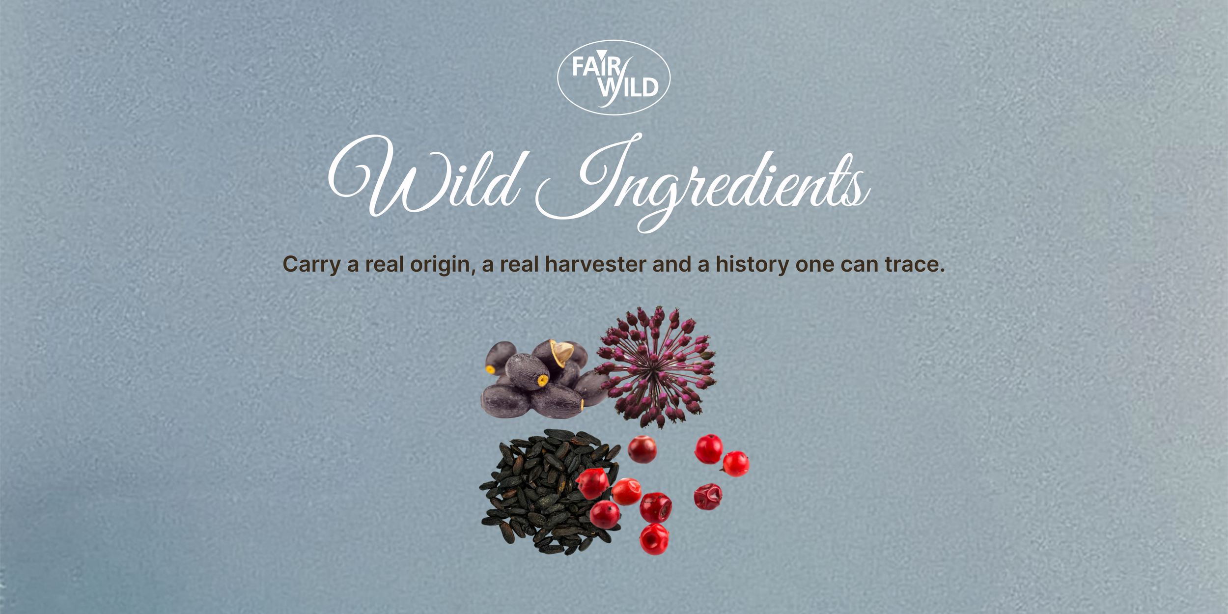 Wild is the Real Luxury 