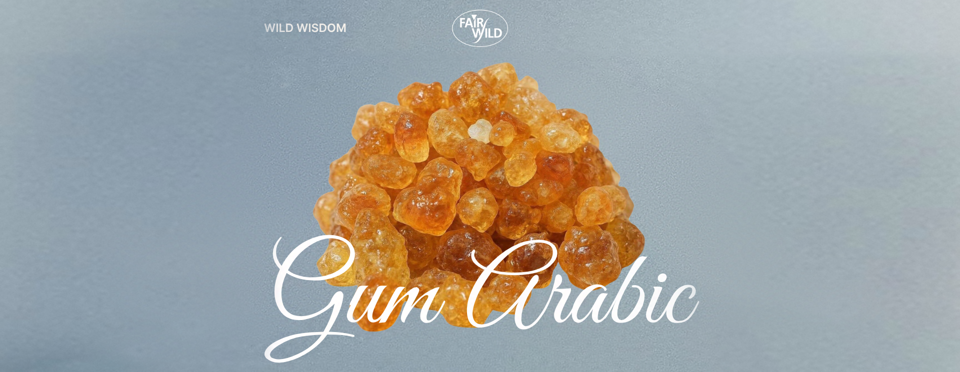 Ingredient Spotlight: Gum Arabic, the Invisible Ingredient Behind Everyday Products