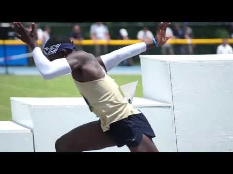 Nate the Great Patterson