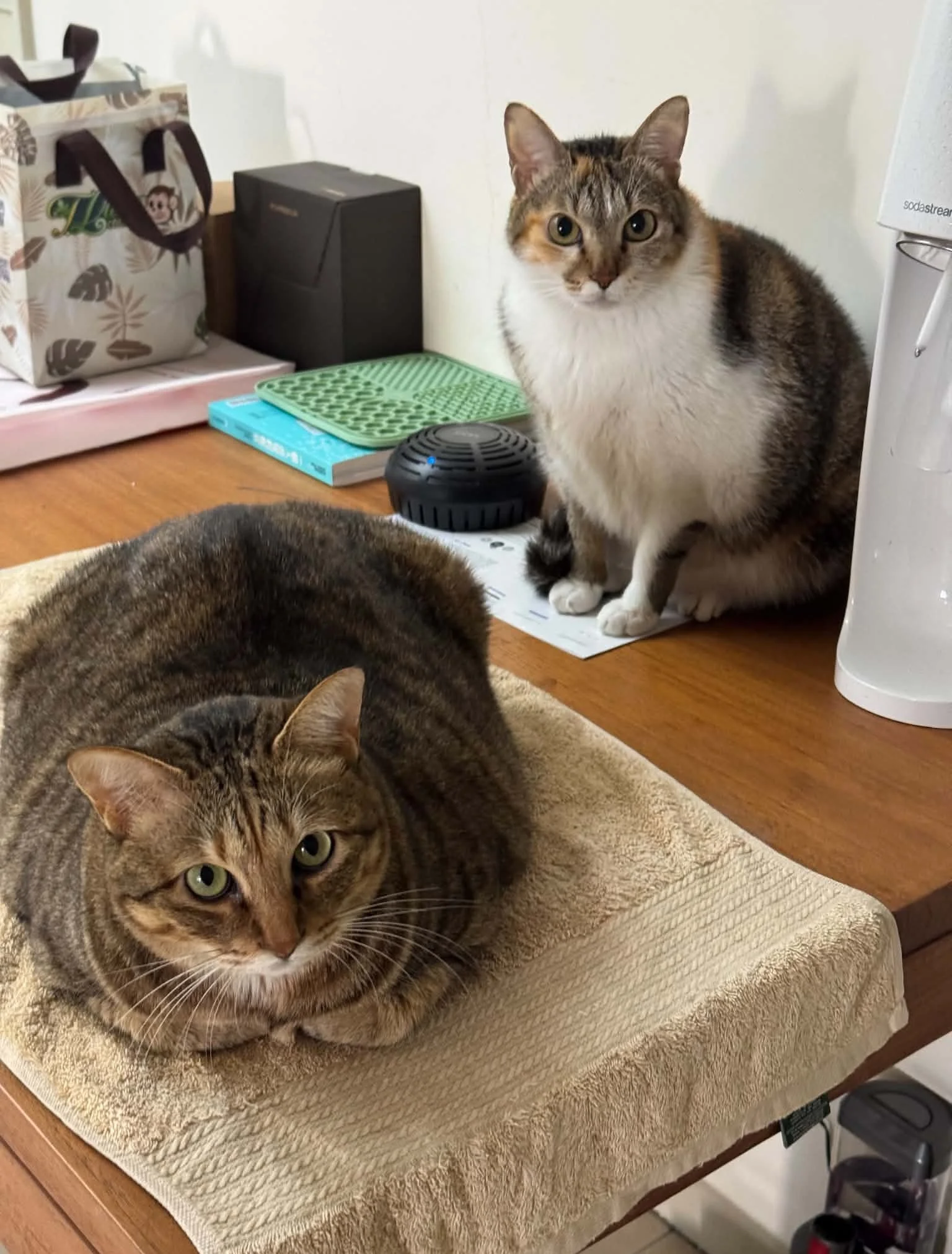Yuen and Hua