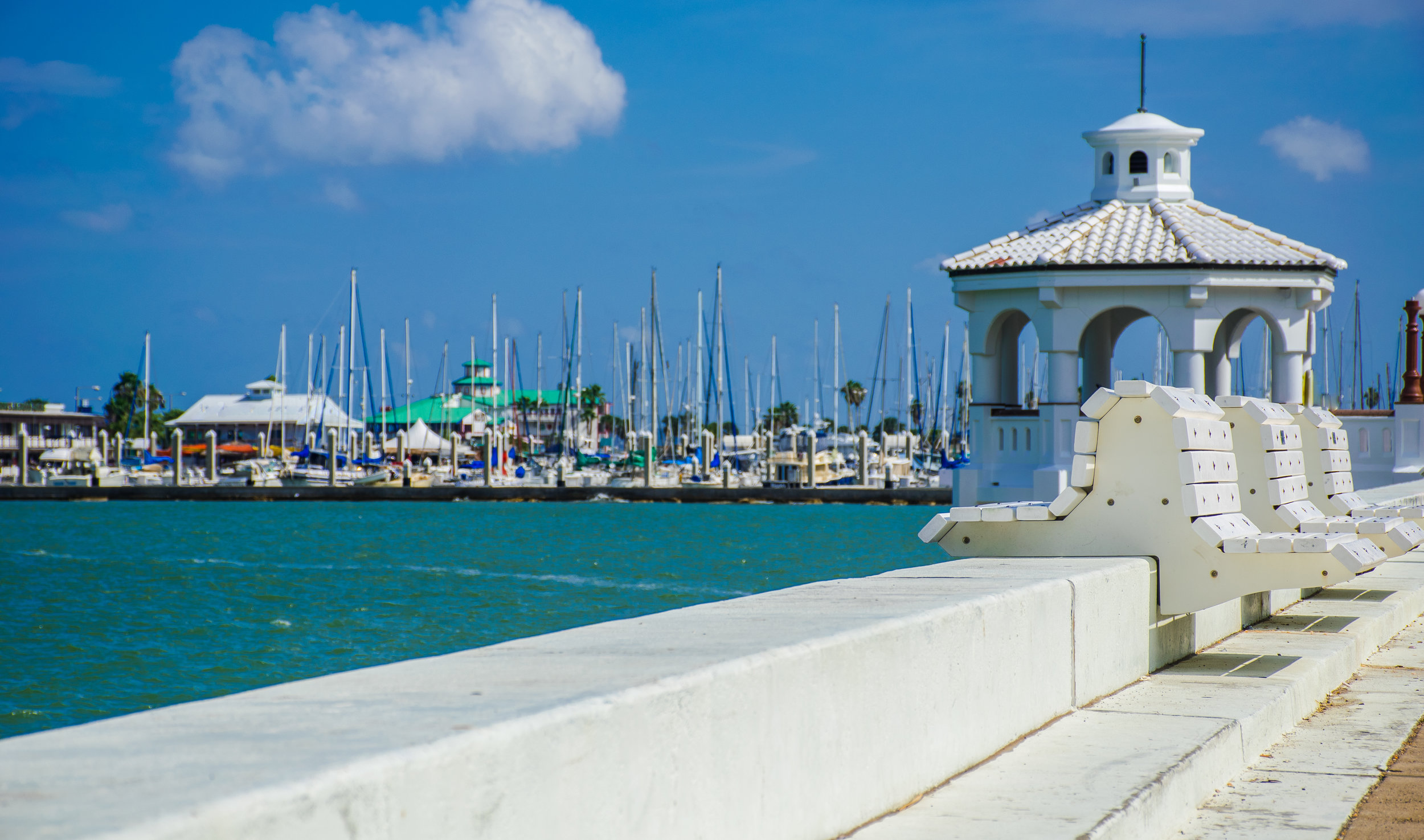 iStock-Corpus Christi Gulf Coast Sea Wall T-Head487391046.jpg