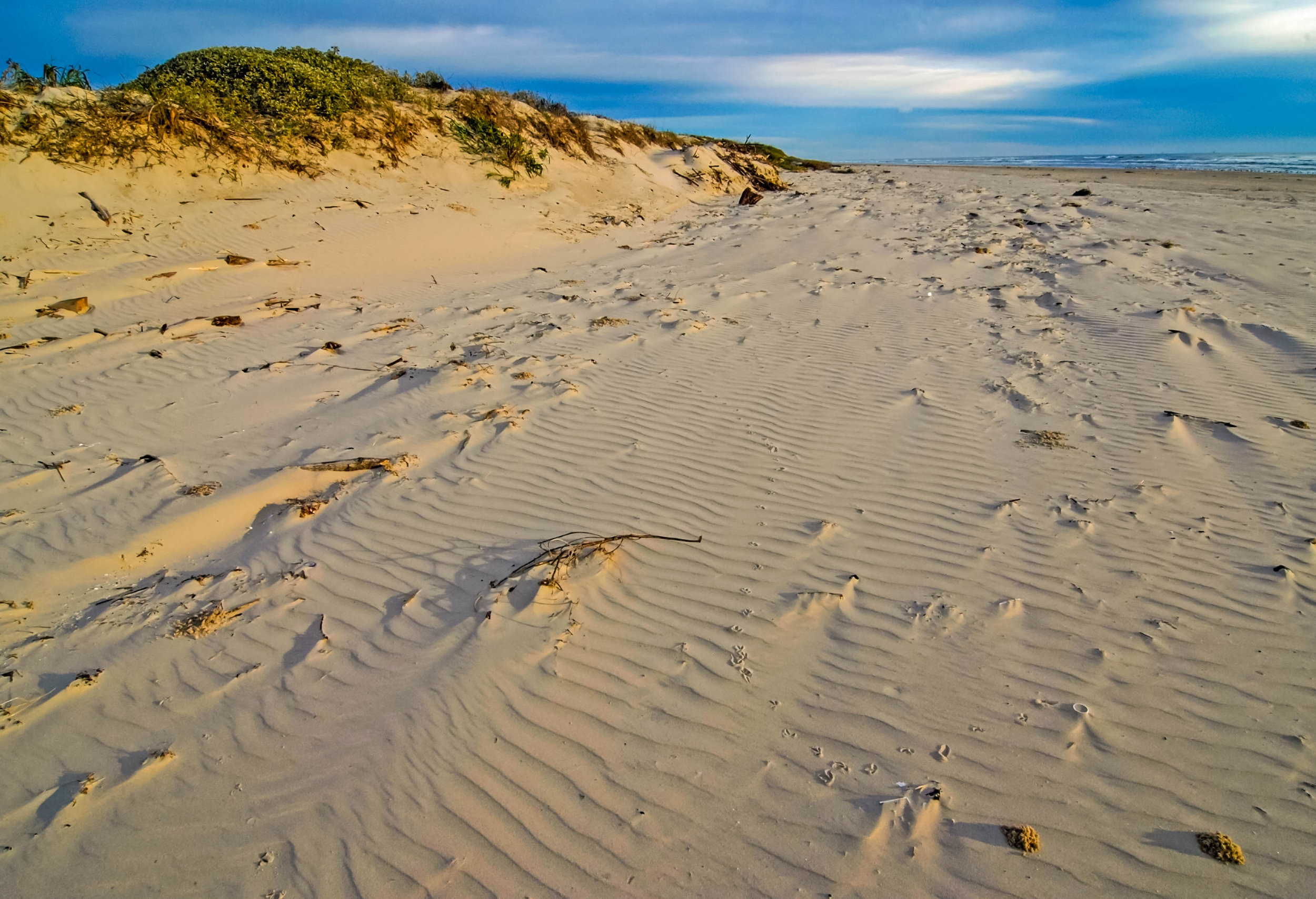 iStock-Seaside Sandunes - Gulf Coast490108264.jpg