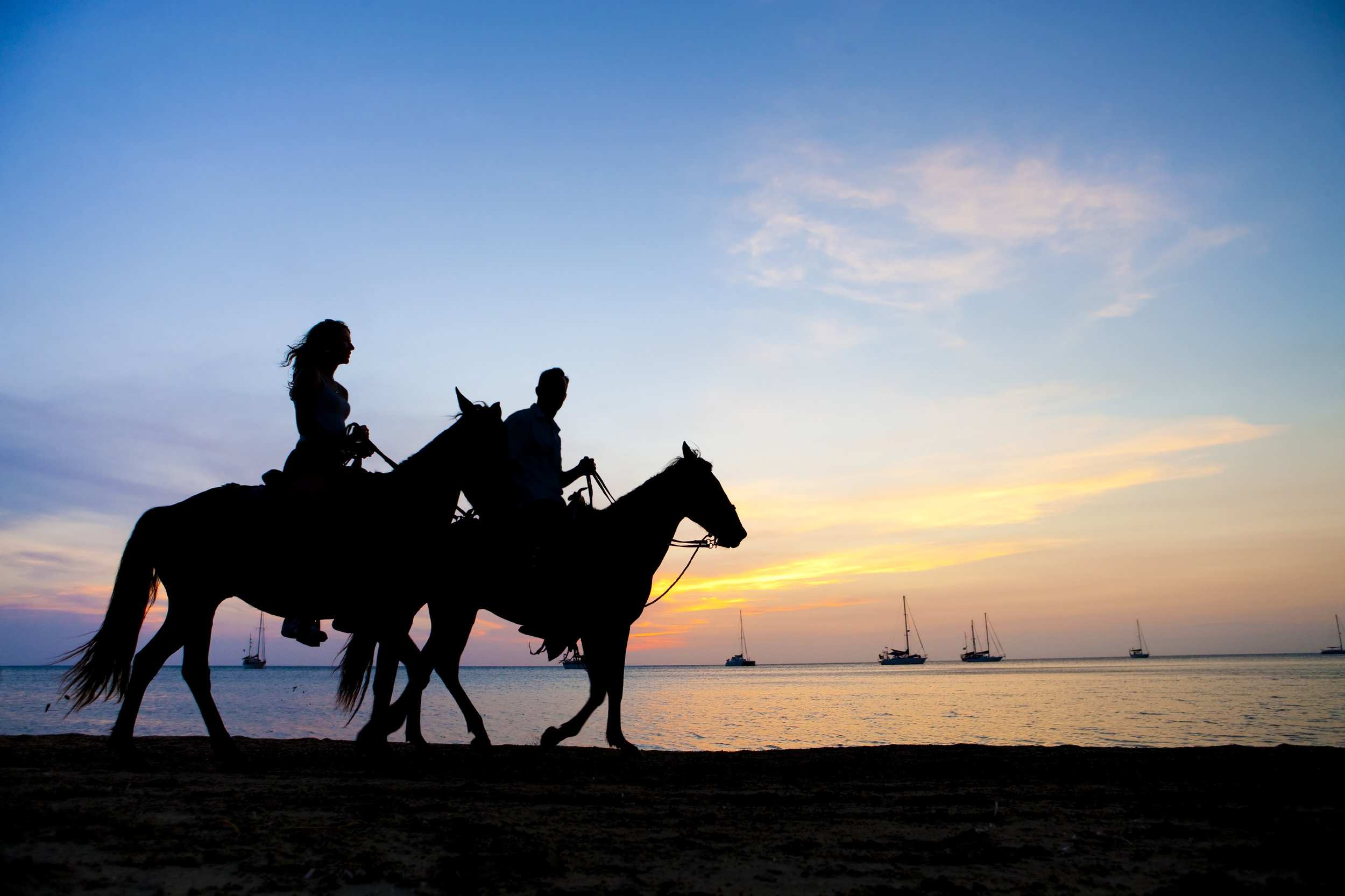 iStock_HorsesOnBeachBRAD10124976.jpg