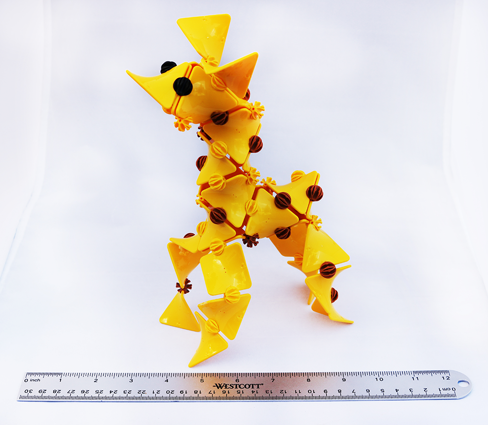 Giraffe Measurement Resized.png