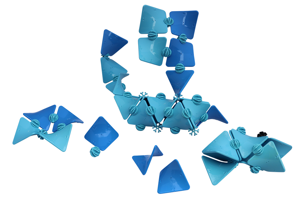 Dragon Assembly Resized.png