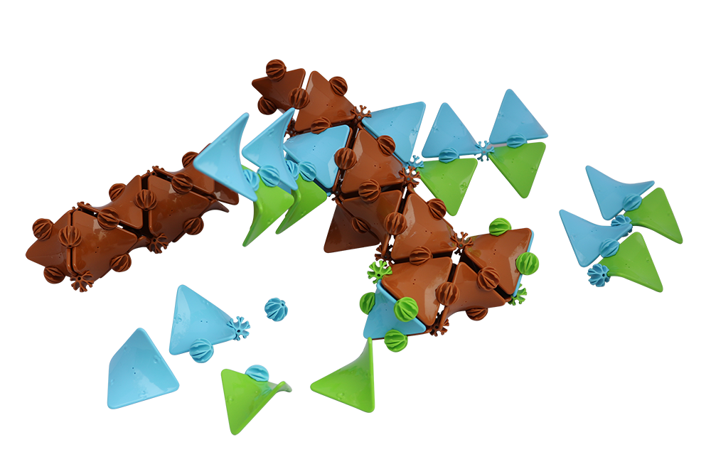 Dragonfly Assembly Resized.png