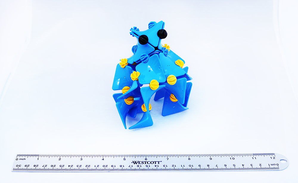 Octopus Measurement Resized.png