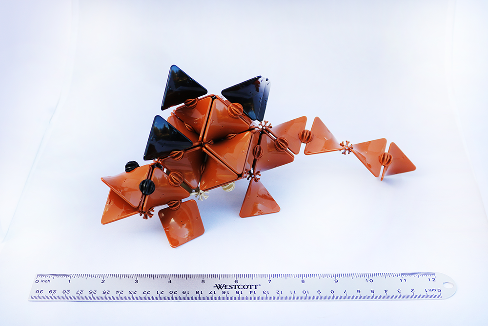 Stegosaurus Measurement Resized.png