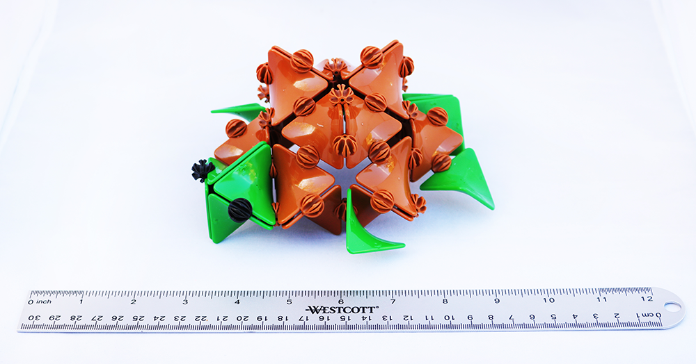Turtle Measurement Resized.png