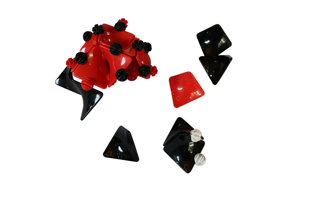 ladybug_pieces.jpg