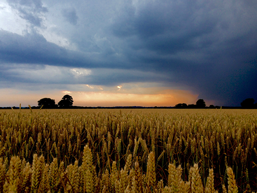 Approaching_storm.png
