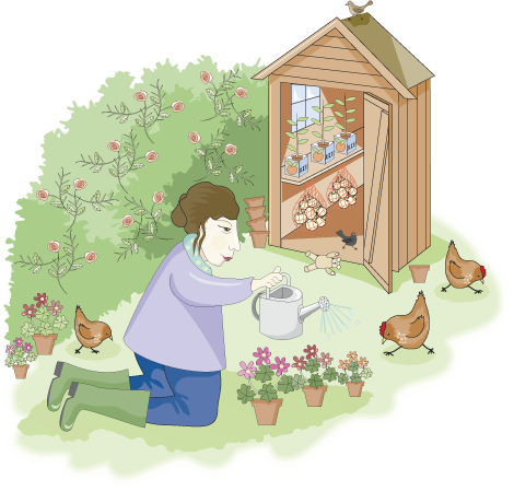 In-the-garden.png