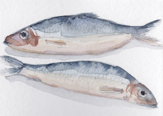 fishwatercol.png