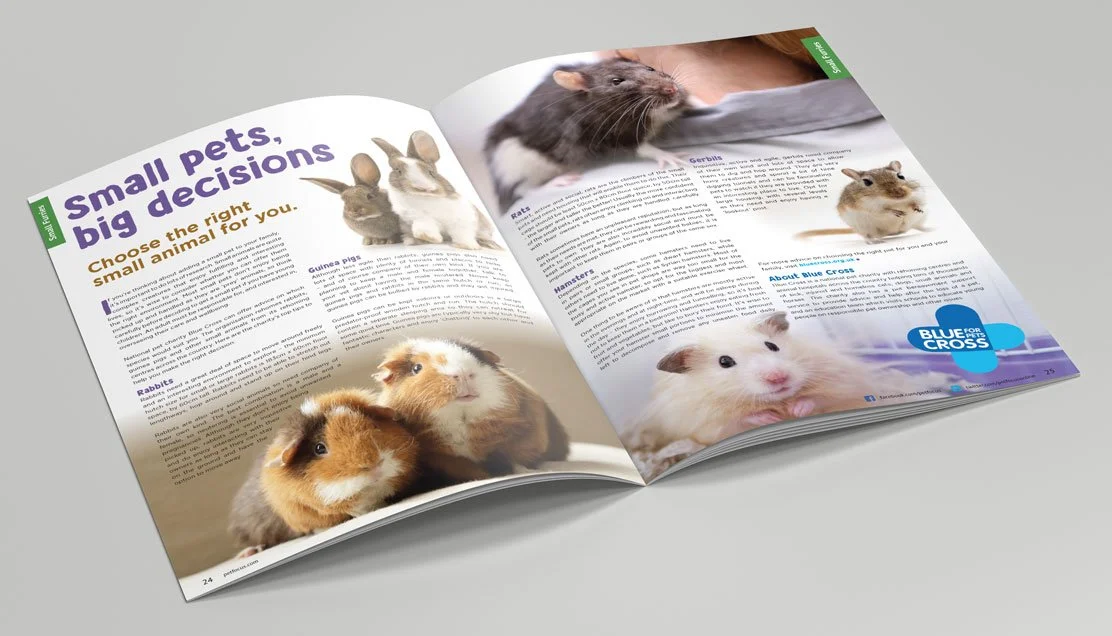 PetFocus-spread1.jpg