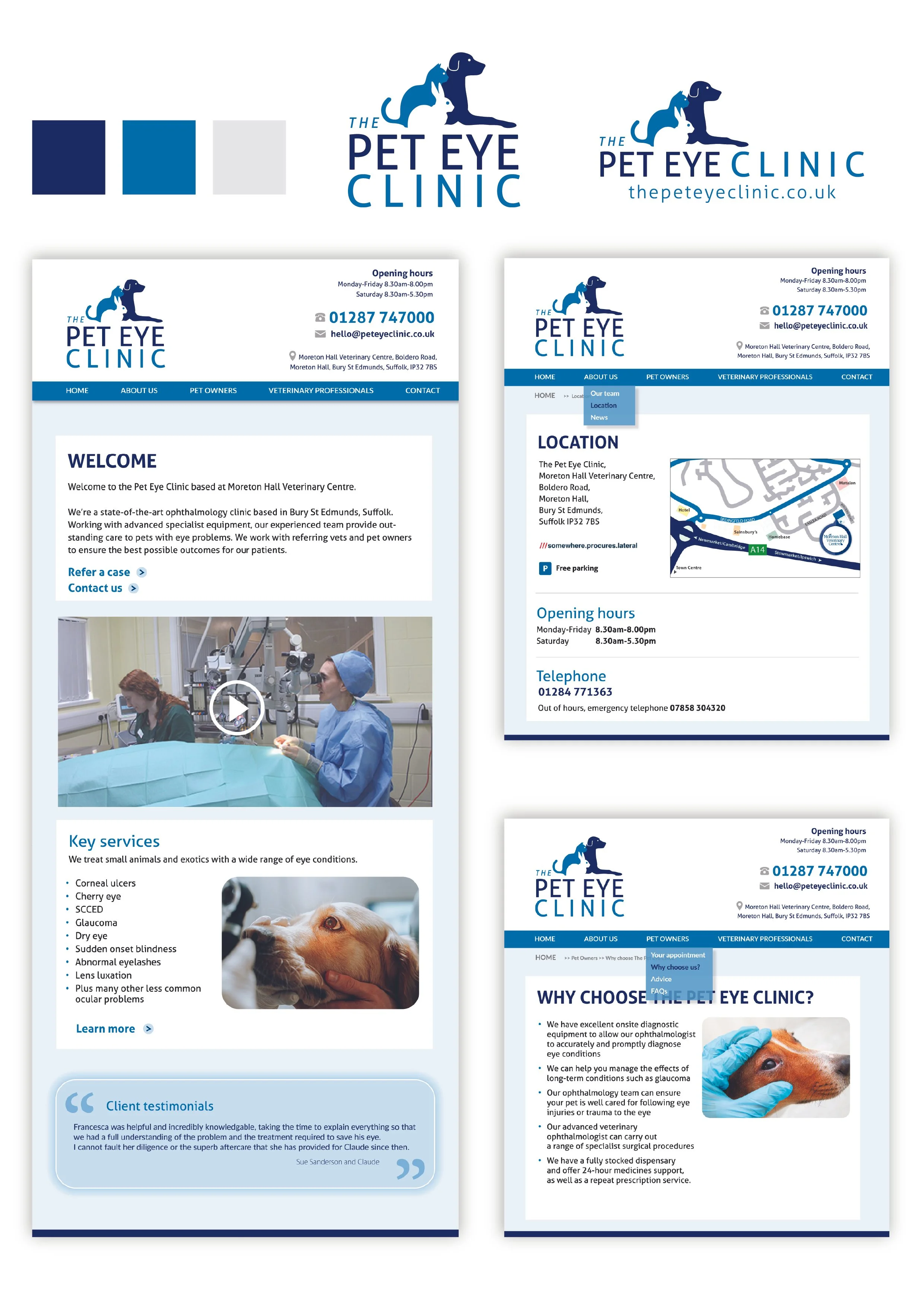 peteyeclinic example mockup.jpg