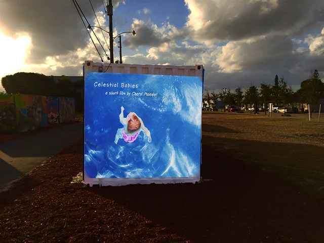 CANVAS-CB-Projection.jpg
