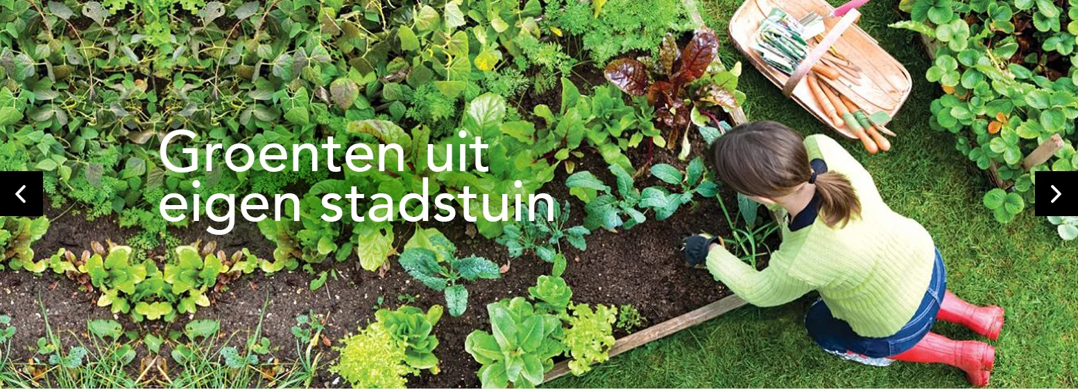 STADSHOFWEB22.jpg