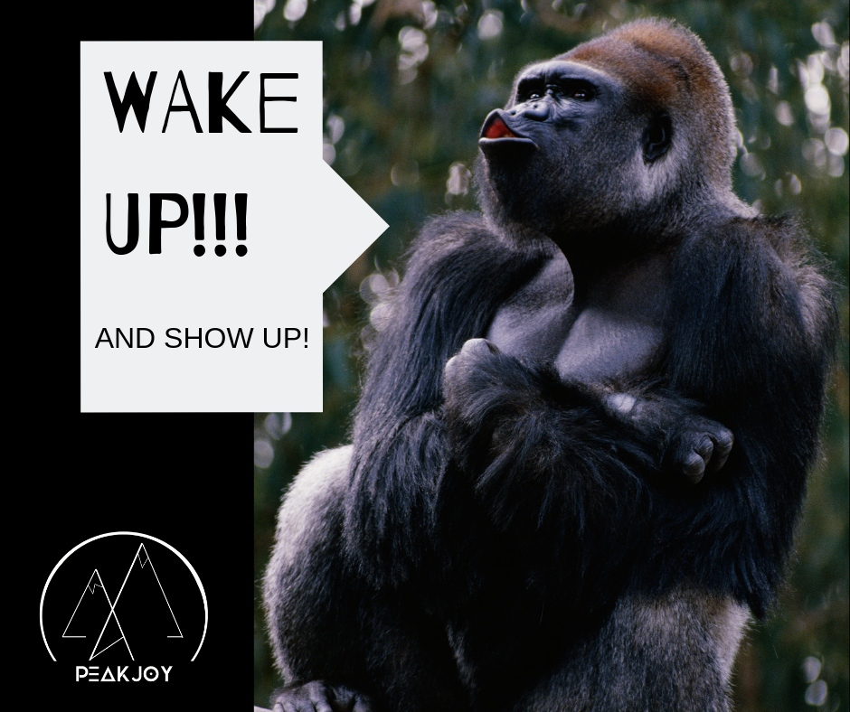 WAKE UP!!!.png