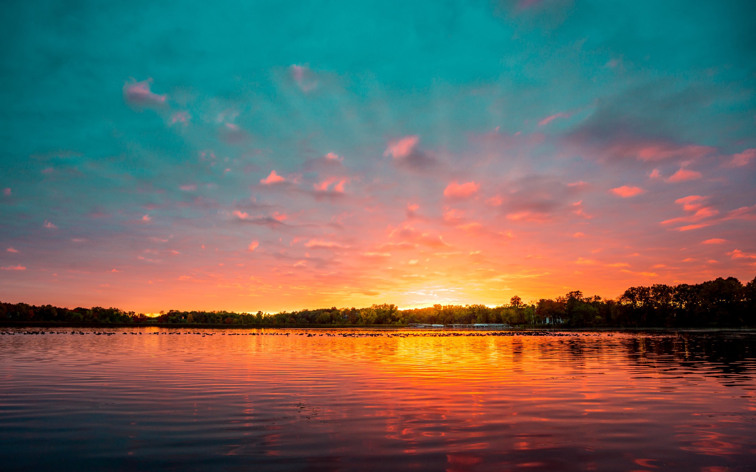 AdobeStock_196957318.jpeg