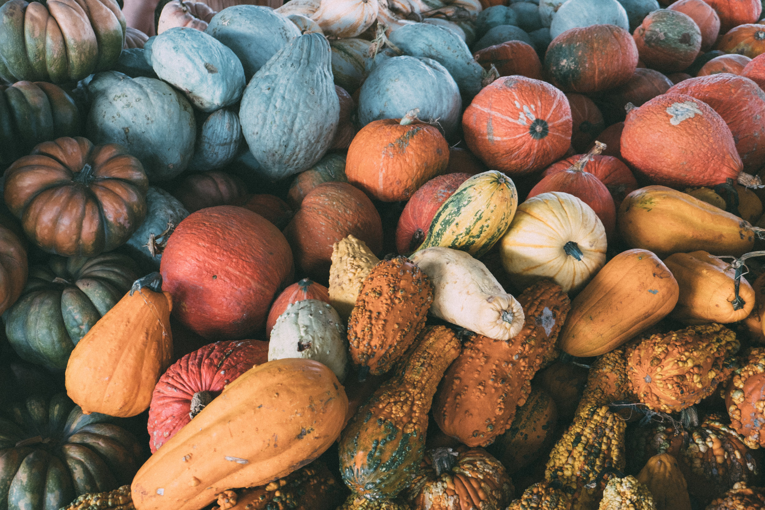 Celebrate Fall With In-Season Produce