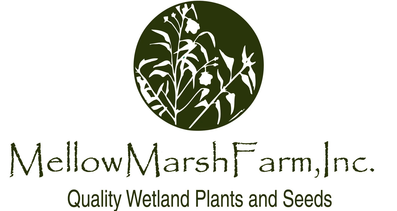 MMFlogoInc copy USE THIS ONE .jpg