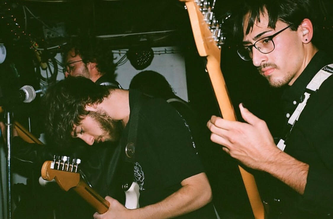 2319live2.jpg
